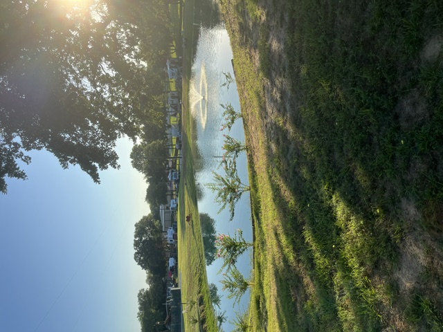 Fishing Pond